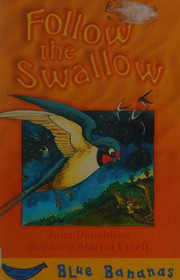 Follow the swallow