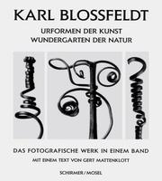 Urformen der Kunst