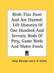 Birds that hunt and are hunted