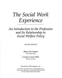 The social work experience