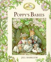 Poppy's Babies (Brambly Hedge)