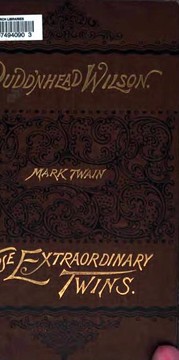 Novels (Pudd'nhead Wilson / Those Extraordinary Twins)